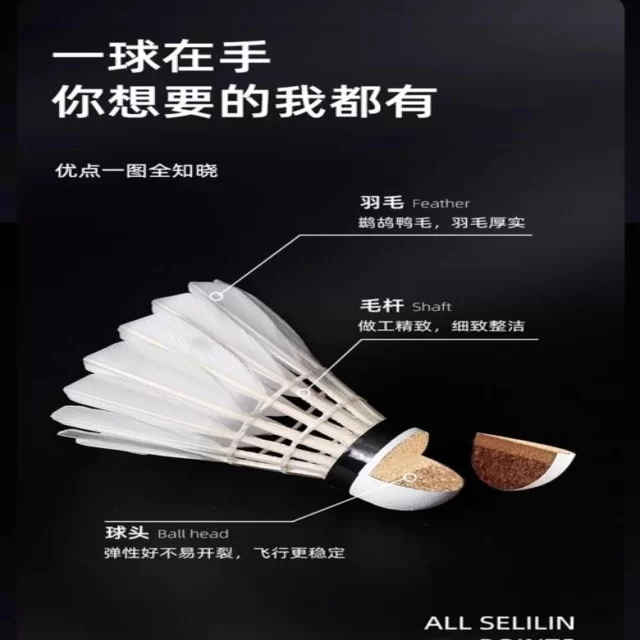 湖人冲击直通季后赛展望未来前景